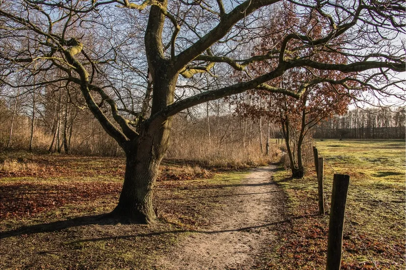 5 natuur landschap heinis 9