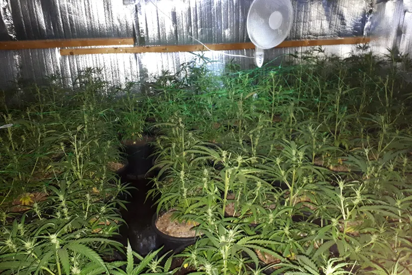 57750899 2294275703945031 4685009339327447040 o