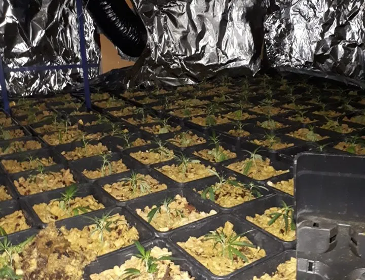 61988193 2375018562537411 8986877543965523968 n