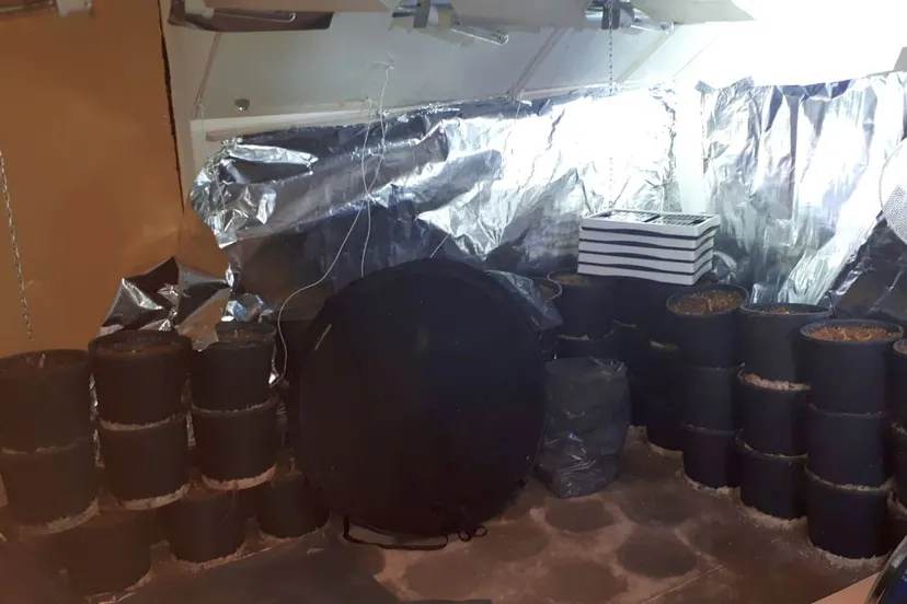 64764051 2399949030044364 3673384411853750272 o