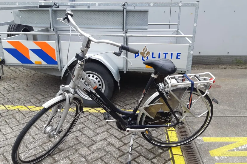 66596636 2441358755903391 4067175609443287040 o