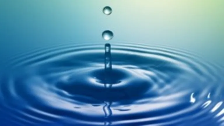 attachment 001 food image dis143222i01 272x1531