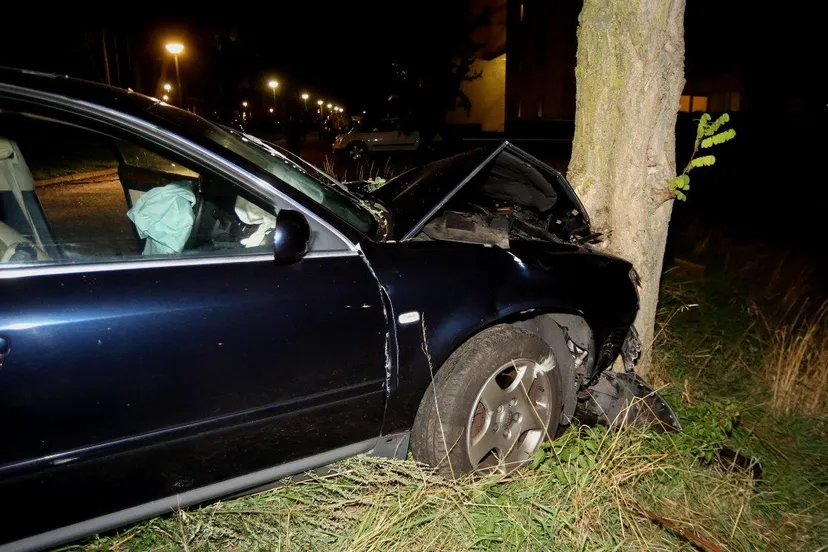 auto tegen boom gassedonklaan den bosch 2