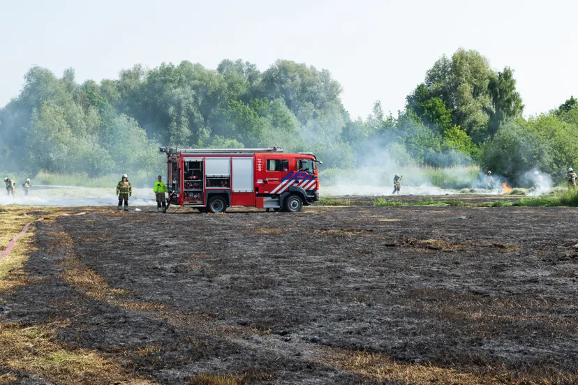 bart meesters 20210609161609 0