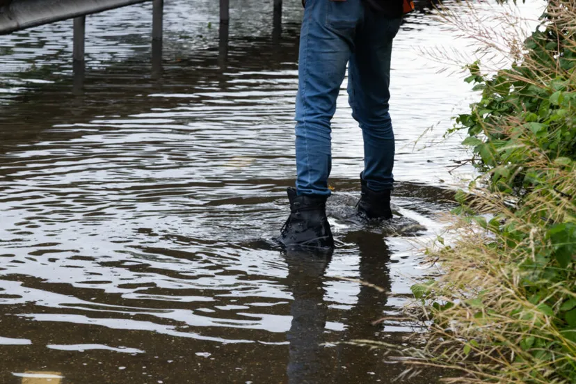 bart meesters 20220606141941 1 1024x640 1