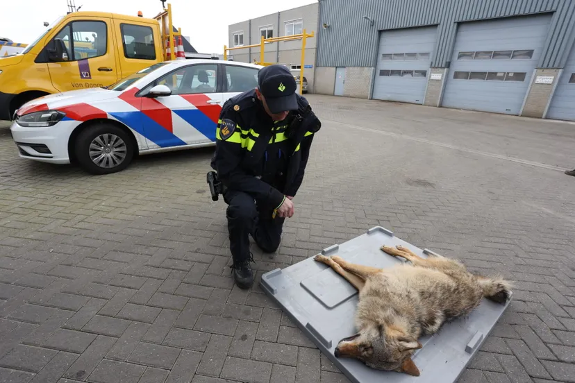 bart meesters 20230303110851 0