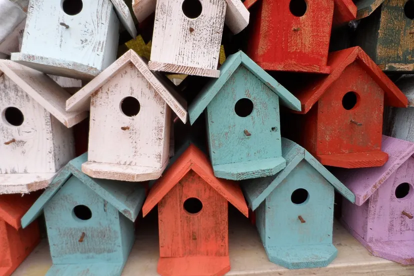 bird house 72332 960 720