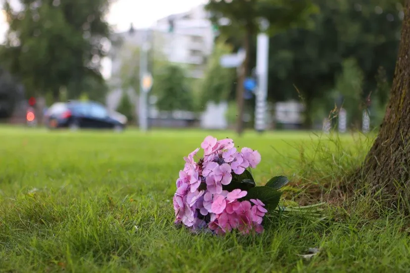 bloemen op plek ongeval 1