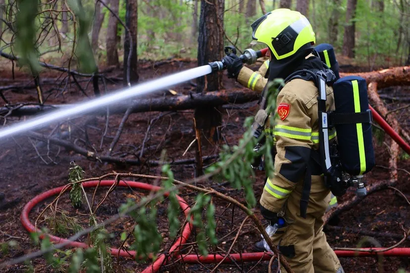 bosbrand hooghei berlicum 6