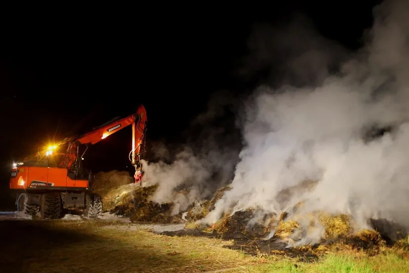 brand sterrebosweg den bosch 2