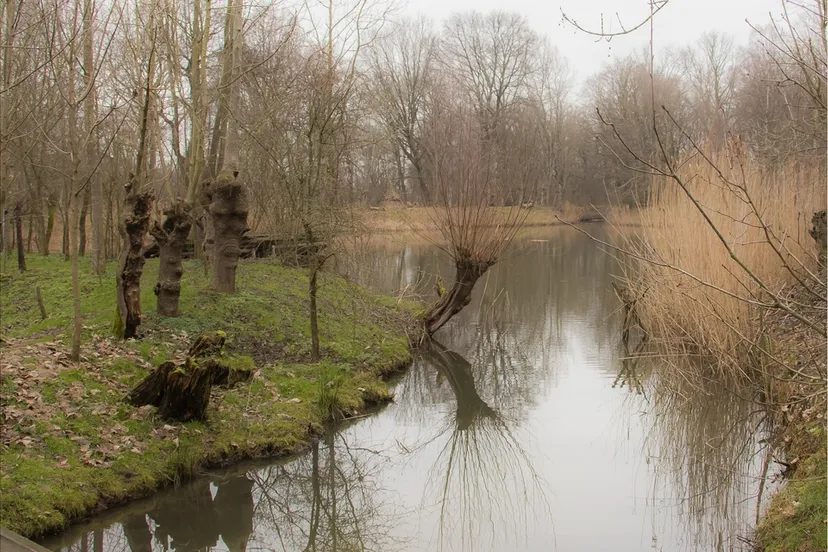 burg van zwietenpark eendenkooi 14