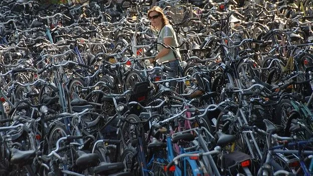 d4ksegg40t9mn6i4qces8fy9w ww140527fietsen