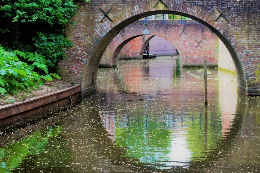 den bosch 29 april 049 2