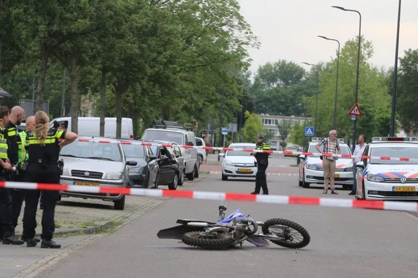 den bosch 6 1024x604