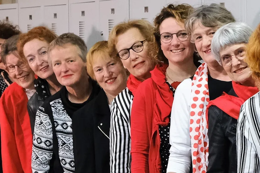 dtl 13 01 20 hvd 30 zonder ejc