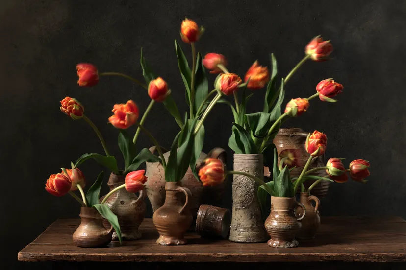 frank van driel fragment 10 fragments 2021