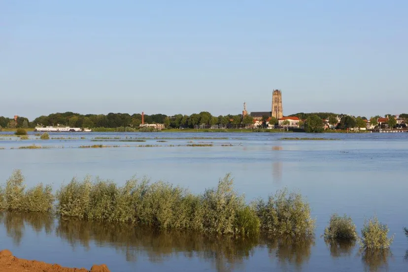 hoogwater waal waardenburg 4