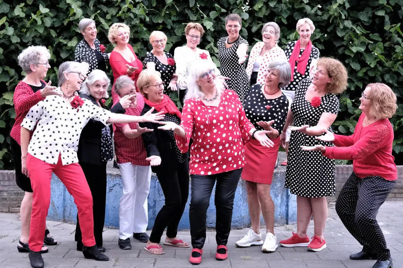 hvd 2022 23 dirigent middelpunt