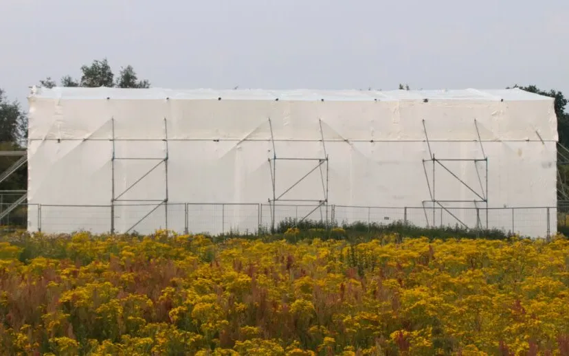 img 9374 003 915x518 1