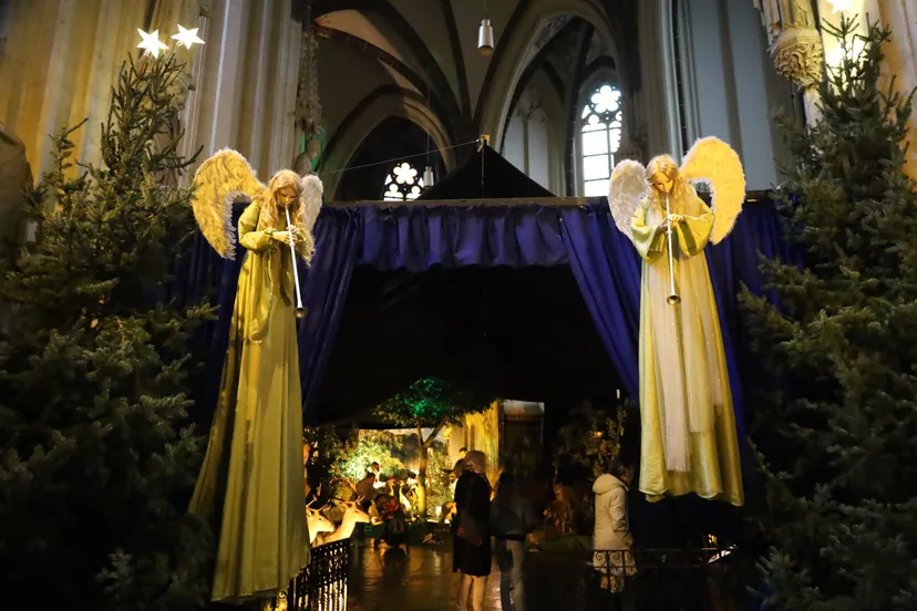 kerststal joris kerstboom 0562 jpg