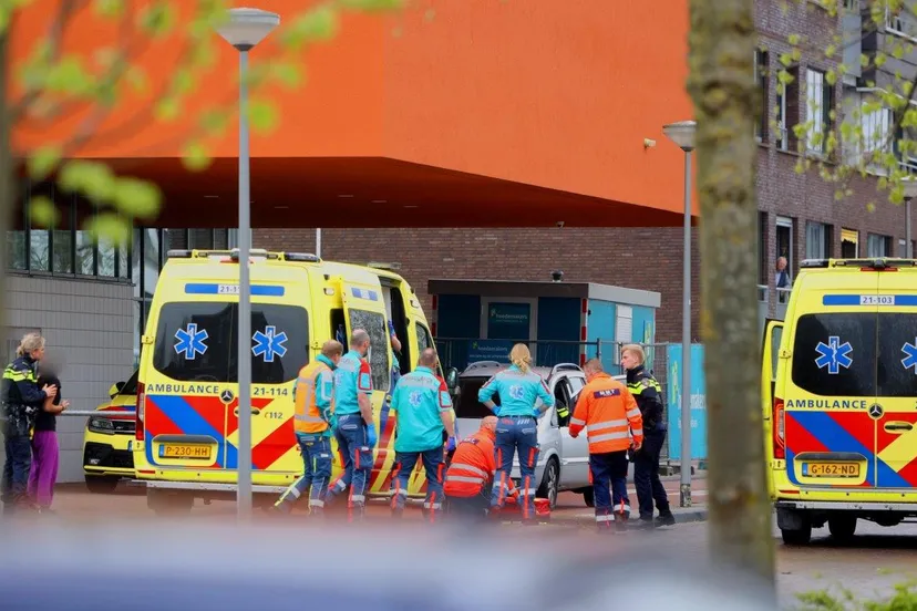 kind gereanmimeerd 7