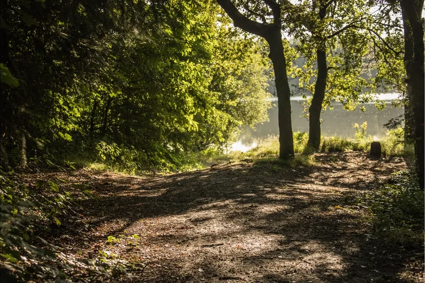 landschap natuur 35 3