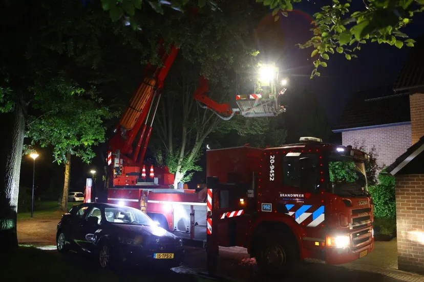 meisje op dak van huis haaren 1