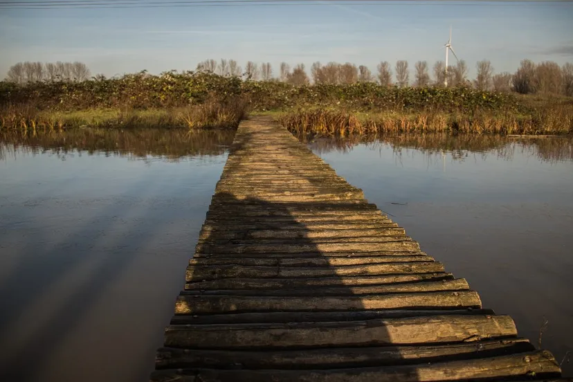 natuur en landschap 9