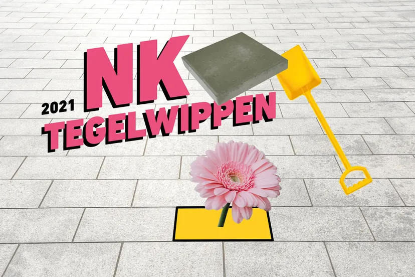 nk tegelwippen afbeelding 002
