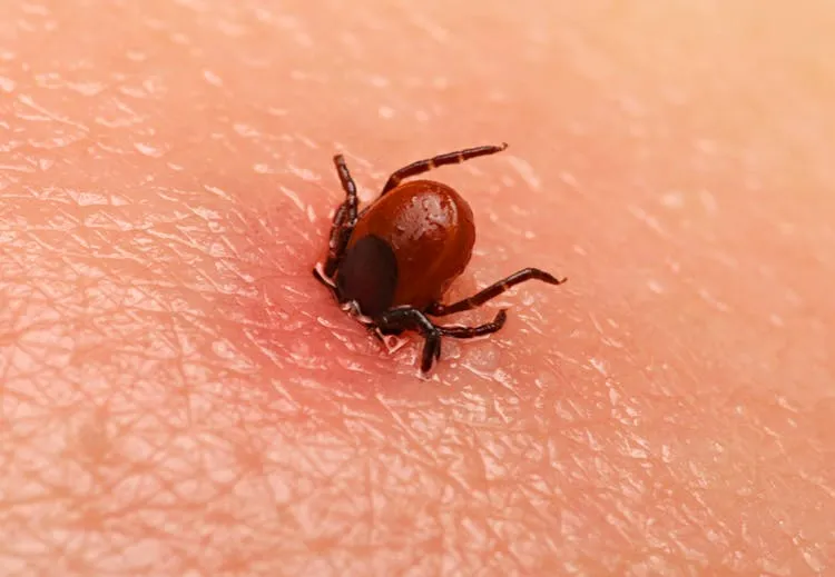 screen shot 2016 01 11 at 121800