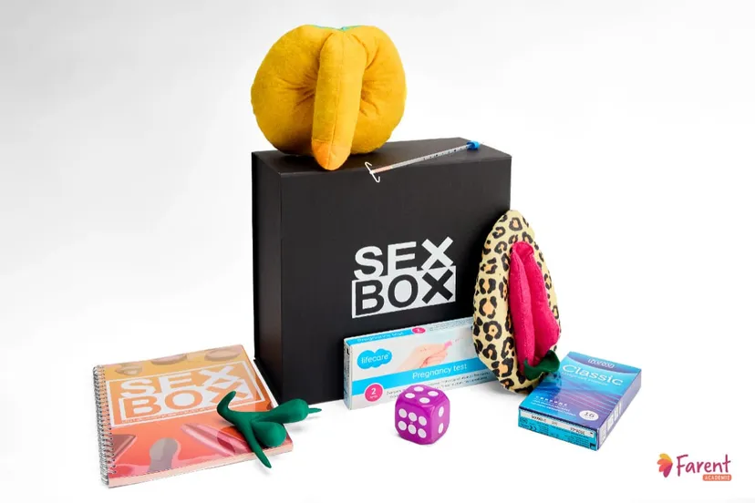 sexbox copyright farent academie 2024