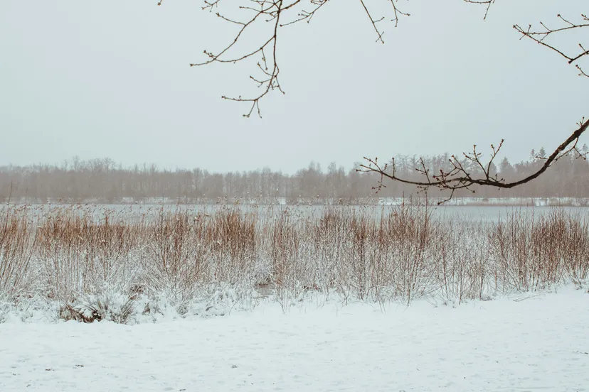 sneeuw 1 van 1 scaled