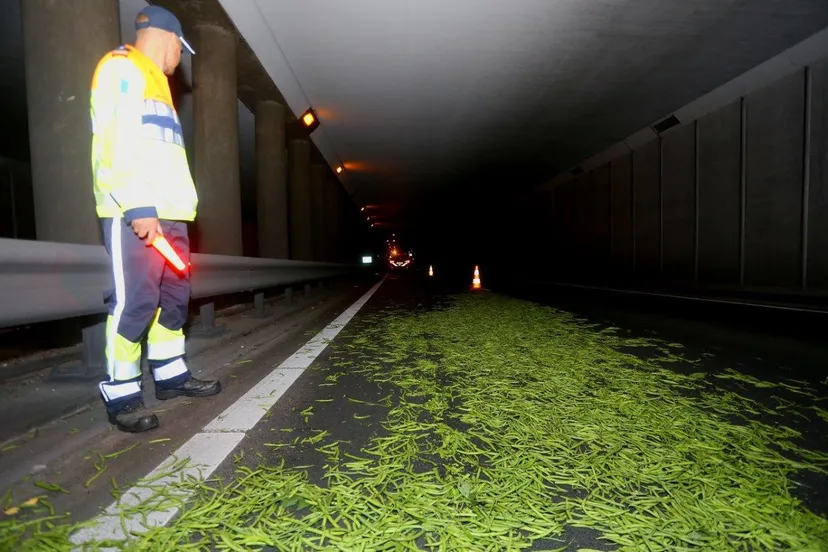 sperziebonen op weg a65 vught 3