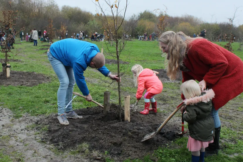 t feb 2022 boom planten 3