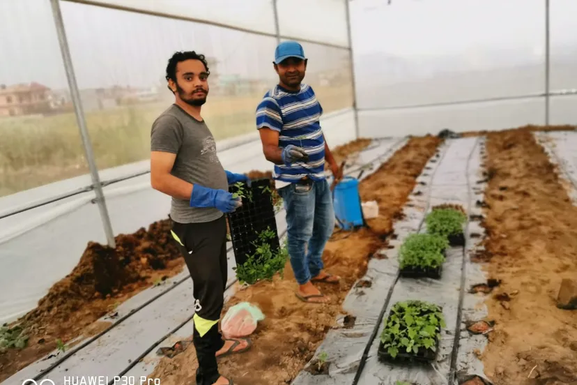 whatsapp image 2021 04 24 at 143234