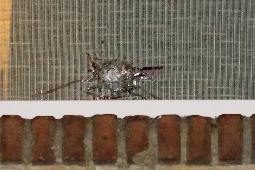 woning bschoten hdewychstraat 6