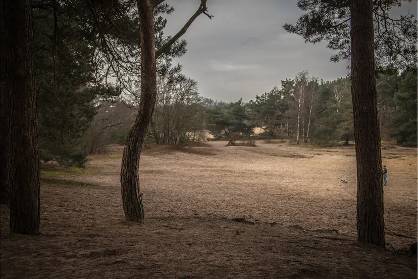 zandverstuiving rosmalen 7