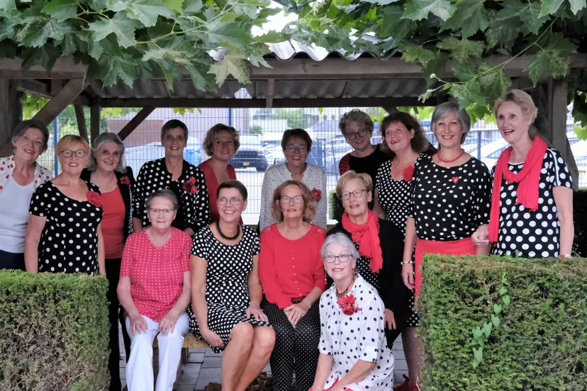 hvd 2022 27 edited voor website zonder mg