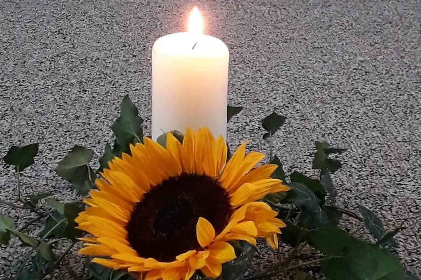 117621576 2417430485217293 377145518401562361 n