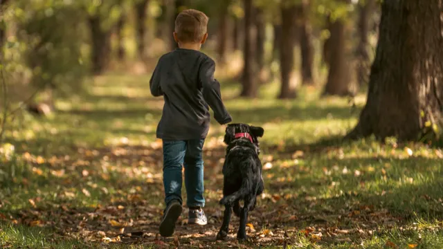 foto dierenkliniek de groote vriend den bosch nieuws
