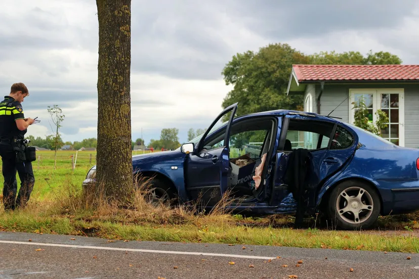 thomas 20240926164807 3