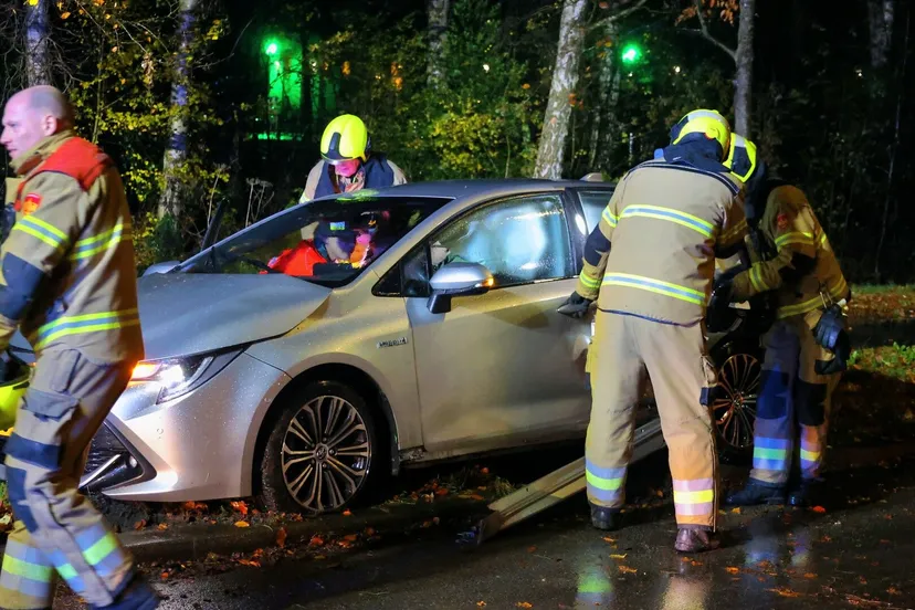 thomas 20241123195903 2