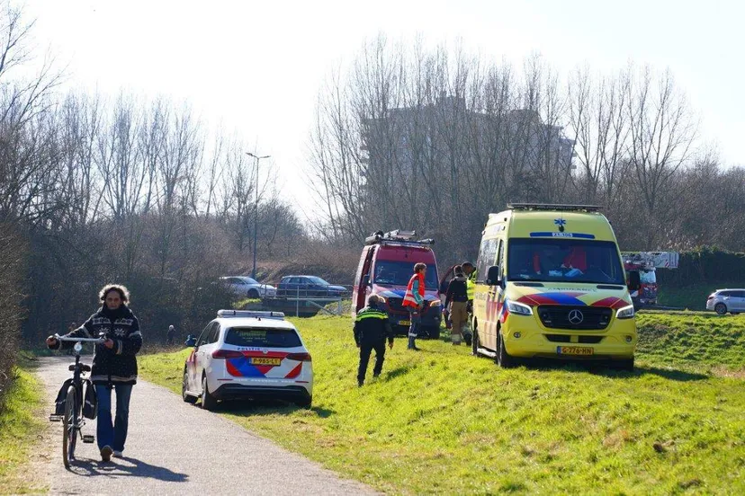 2025 03 02 meesters multi media fotos dode in water dommel den bosch3