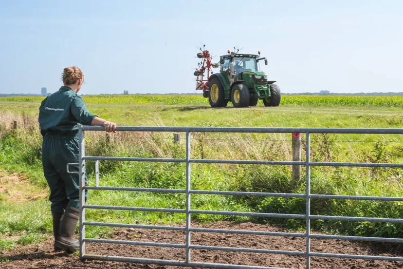 09f8878f a20d 4fd9 af6e f30cde9c57b9