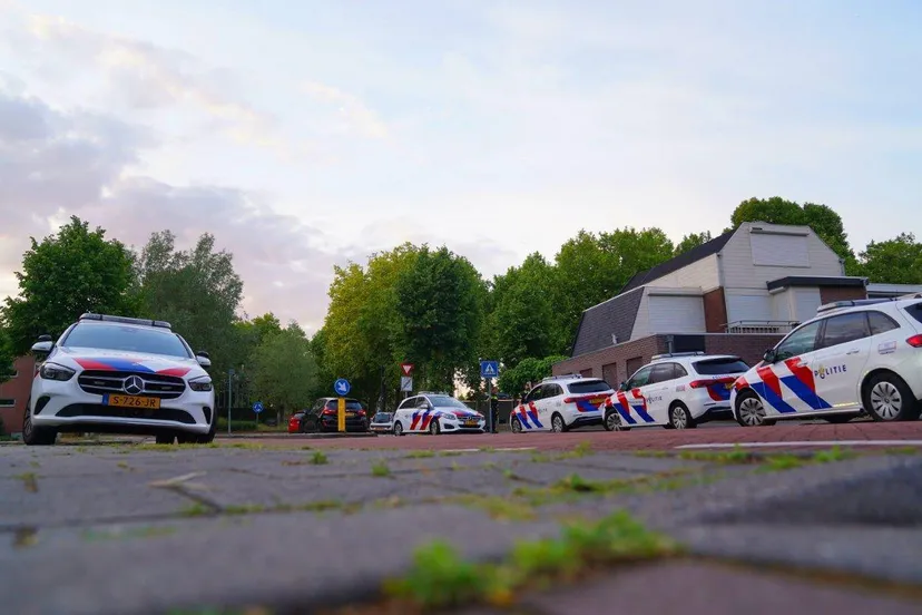 2025 05 25 meesters multi media fotos auto beschotten vincent van goghstraat hintham7