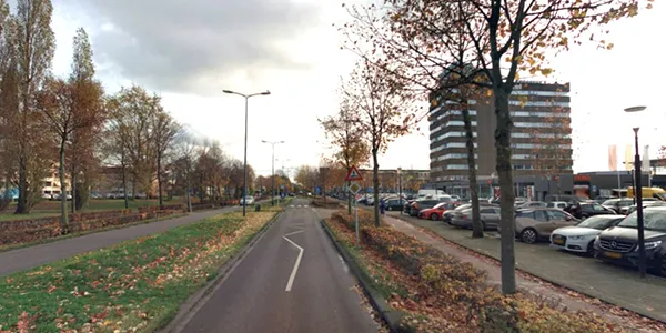 bomen in de schutskamp