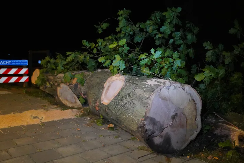 Bart_Meesters_3af88271-0c88-457e-884b-ce61a8ceb16e