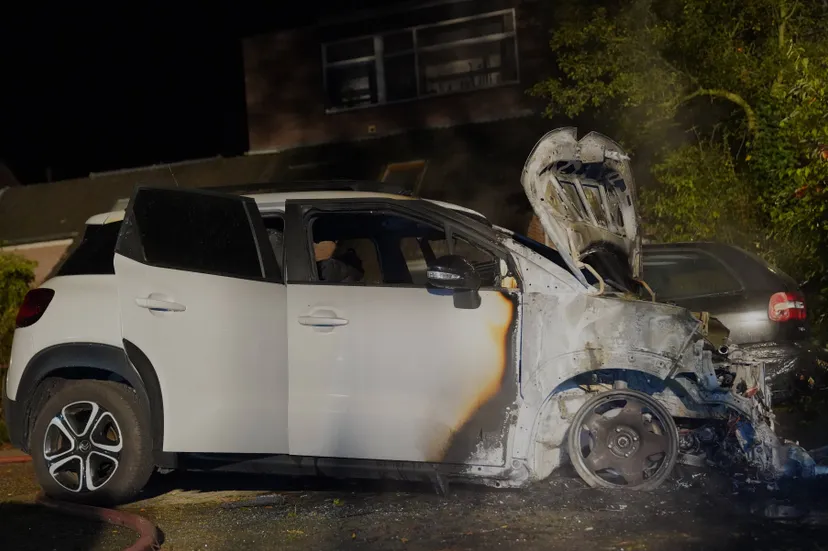 1c25e617-ef7e-404a-8049-99968f794182 (1)