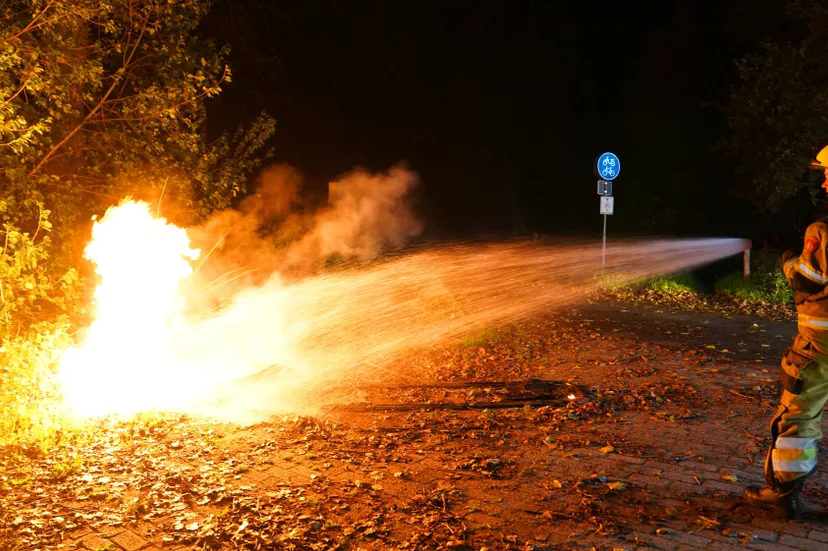 50c718ba-135f-4ea8-8ce0-dce678c846e0