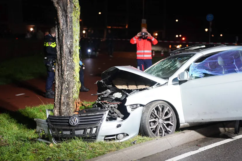 291dd20f-1e51-4daa-847d-fd353c0746c9